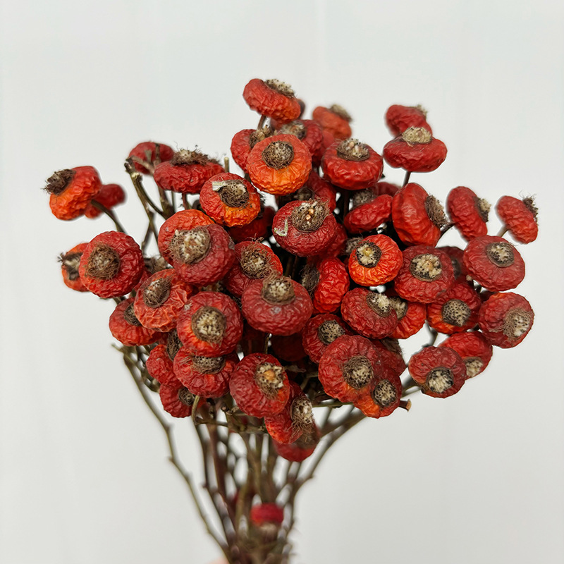 Dried Flower Bulk - 10pcs/Bundel Bunga Mawar Kering Alami untuk