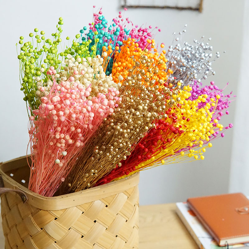 Dried Flower Bulk - 35g/Ormosia Hosiei Alami Bunga Asli Diawetkan