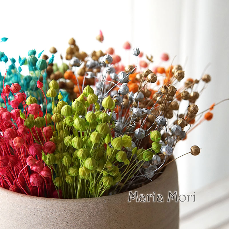 Dried Flower Bulk - 5G Diawetkan Biji Rami Bunga Asli