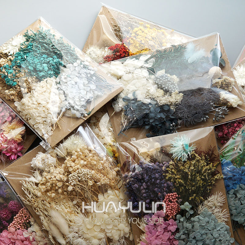 Dried Flower Bulk - 1 Pak tanaman buatan bunga asli