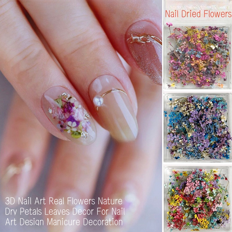 Dried Flower Bulk - Campuran Bunga Kering Kecil Seni Kuku