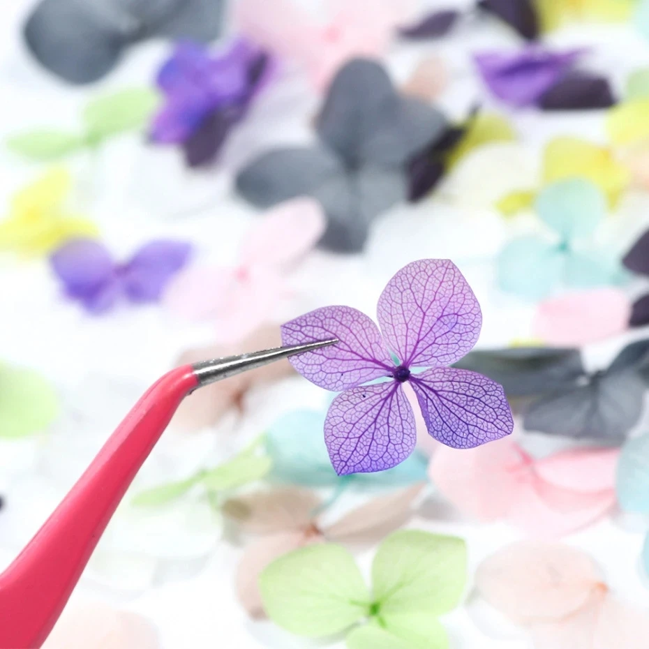 1 kotak bunga asli kering deko - Dried Flower Bulk ulasan dan harga