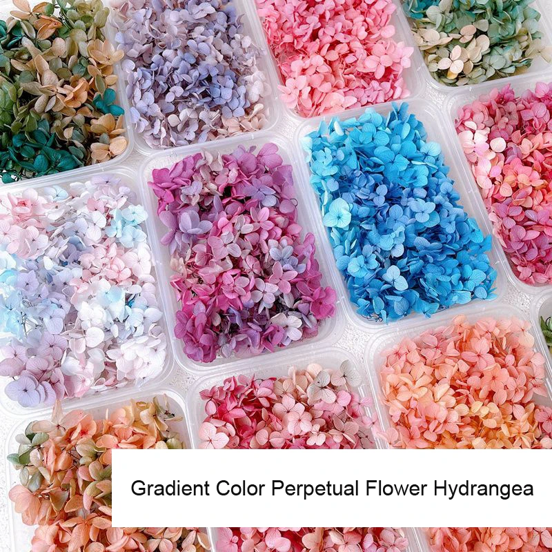 1 kotak bunga asli kering deko - Dried Flower Bulk ulasan dan harga