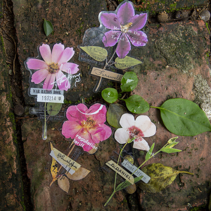 10 Pcs/Pack Stiker Seri Rumah  - Dried Flower Bulk ulasan dan harga