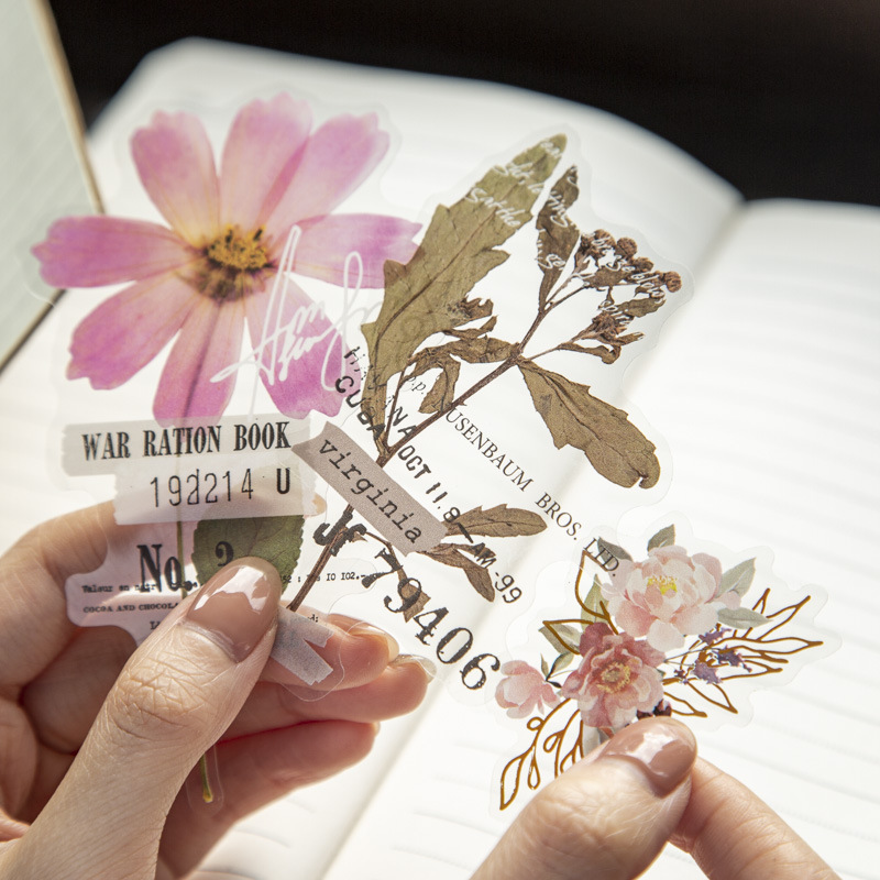 10 Pcs/Pack Stiker Seri Rumah  - Dried Flower Bulk ulasan dan harga