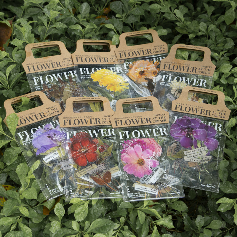 10 Pcs/Pack Stiker Seri Rumah  - Dried Flower Bulk ulasan dan harga