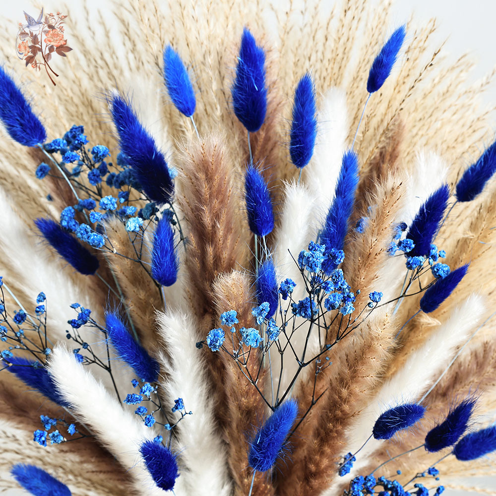 70 Batang Biru Berbulu Ekor Ke - Dried Flower Bulk ulasan dan harga