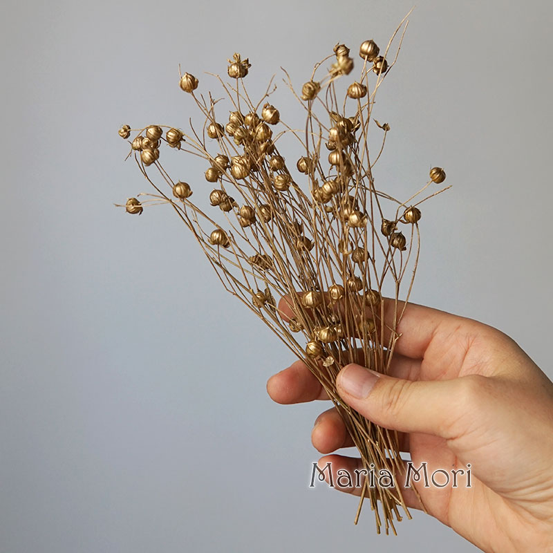 5G Diawetkan Biji Rami Bunga A - Dried Flower Bulk ulasan dan harga