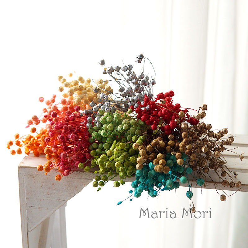 5G Diawetkan Biji Rami Bunga A - Dried Flower Bulk ulasan dan harga
