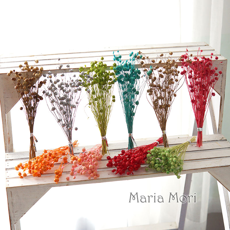 5G Diawetkan Biji Rami Bunga A - Dried Flower Bulk ulasan dan harga