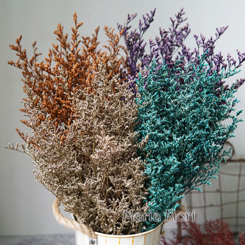 50g/Rumput Valentine yang Diaw - Dried Flower Bulk ulasan dan harga