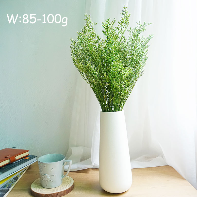 50g/Rumput Valentine yang Diaw - Dried Flower Bulk ulasan dan harga