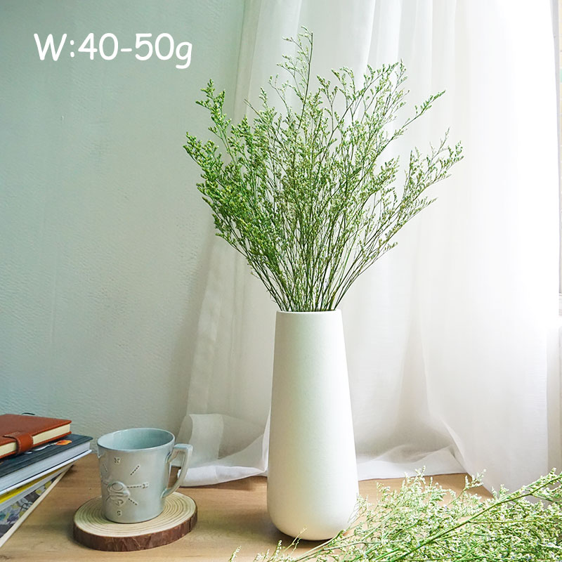 50g/Rumput Valentine yang Diaw - Dried Flower Bulk ulasan dan harga