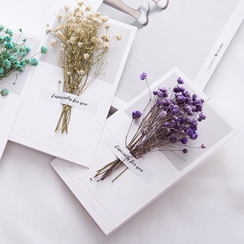 10 Buah Kartu Hadiah Undangan  - Dried Flower Bulk ulasan dan harga