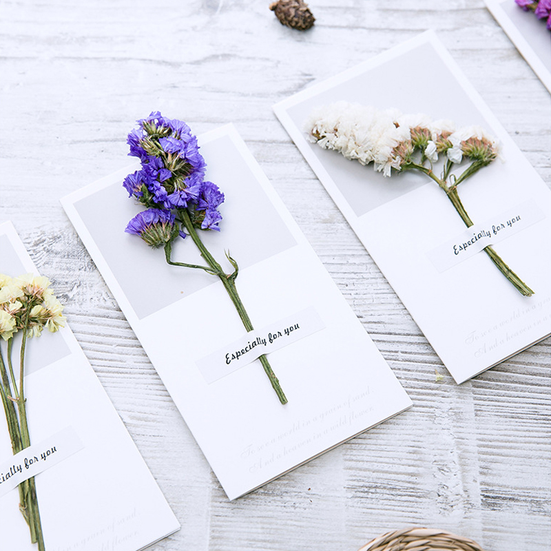 10 Buah Kartu Hadiah Undangan  - Dried Flower Bulk ulasan dan harga