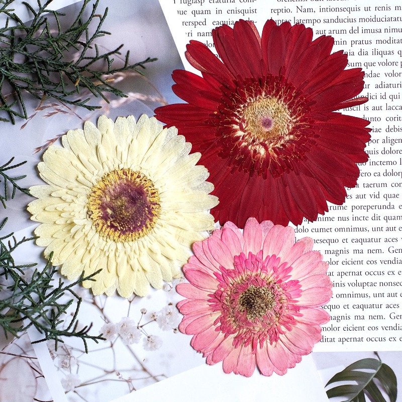 1pcs/7-9cm, Bunga Gerbera Keri - Resin Craft Ideas ulasan dan harga