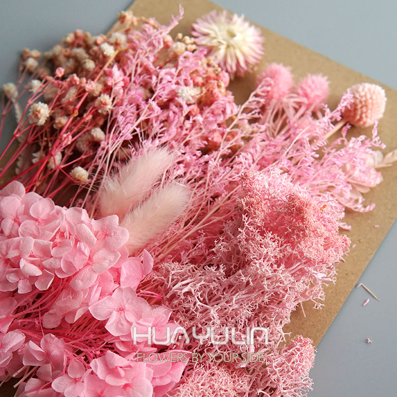 1 Pak tanaman buatan bunga asl - Dried Flower Bulk ulasan dan harga