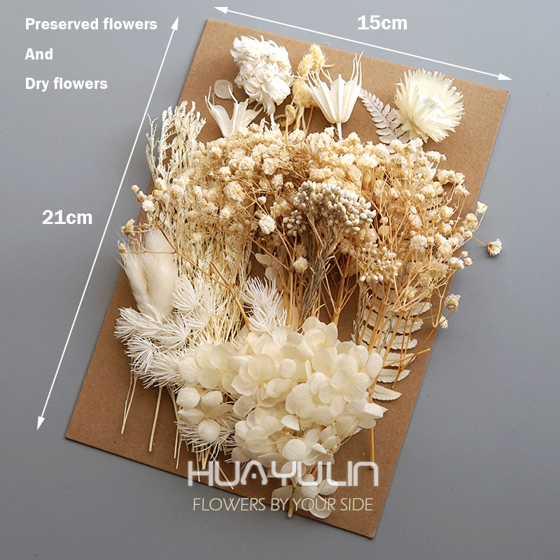 1 Pak tanaman buatan bunga asl - Dried Flower Bulk ulasan dan harga