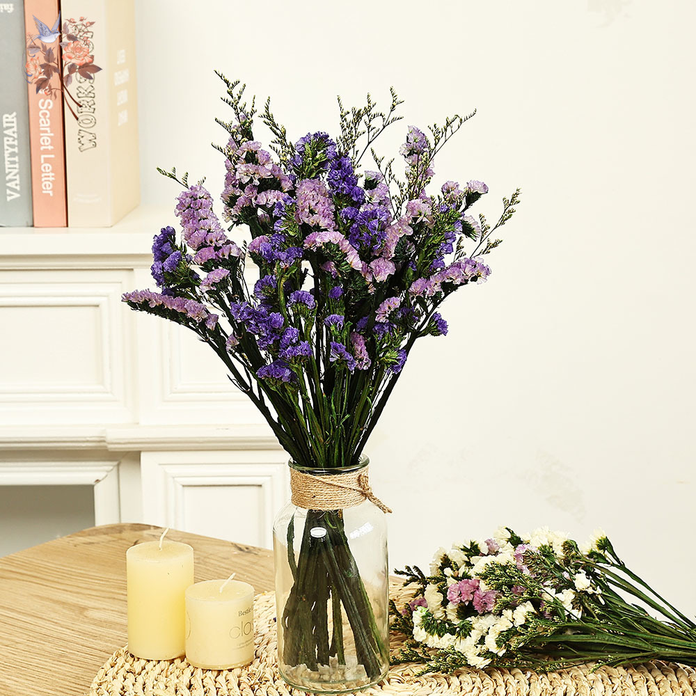 100G Buket Bunga Lupakan-aku-T - Dried Flower Bulk ulasan dan harga