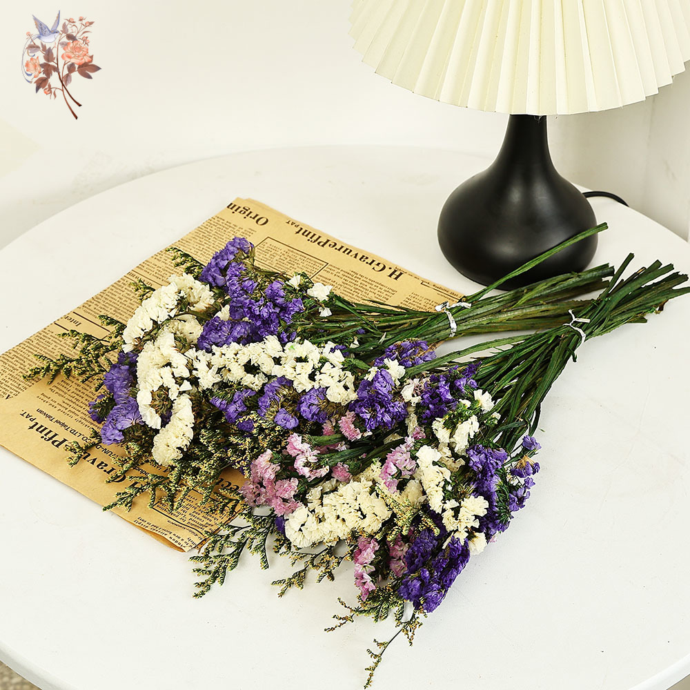 100G Buket Bunga Lupakan-aku-T - Dried Flower Bulk ulasan dan harga