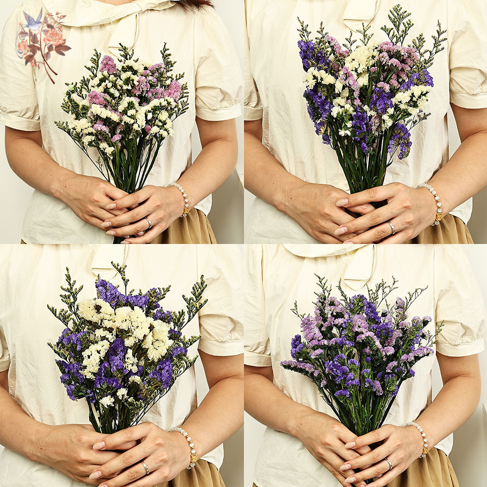 100G Buket Bunga Lupakan-aku-T - Dried Flower Bulk ulasan dan harga