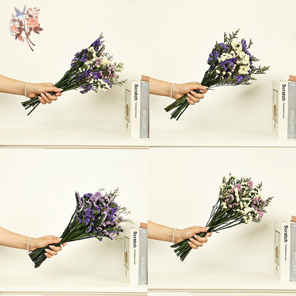 100G Buket Bunga Lupakan-aku-T - Dried Flower Bulk ulasan dan harga