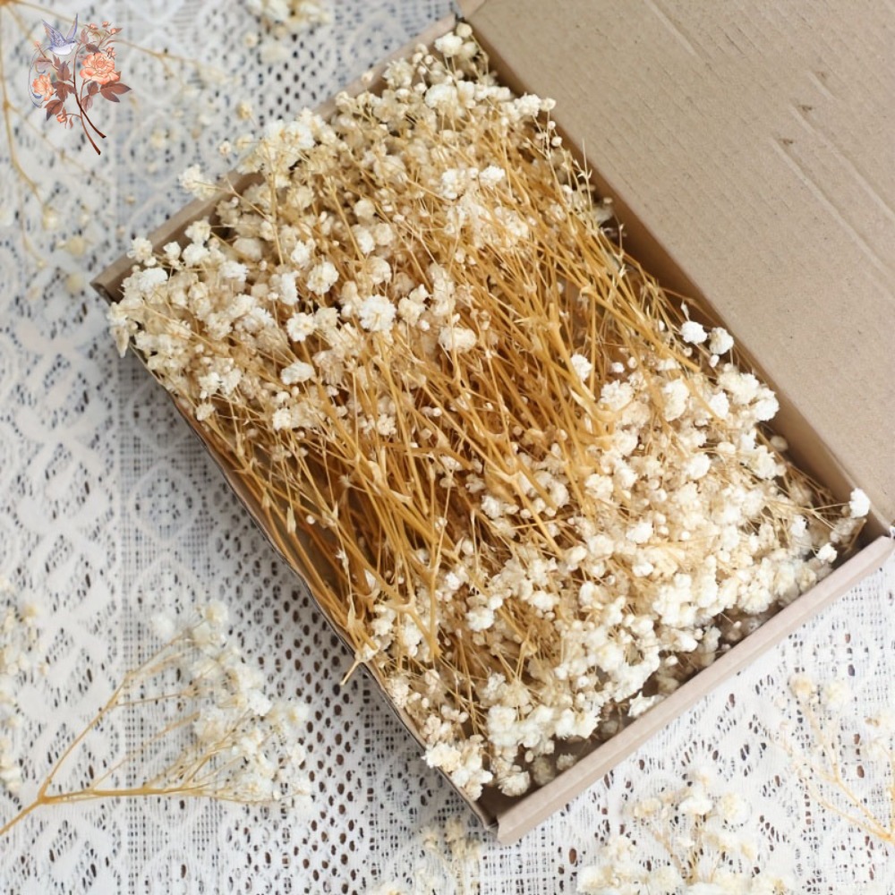 100pcs Bunga Baby's Breath Ker - Resin Craft Ideas ulasan dan harga