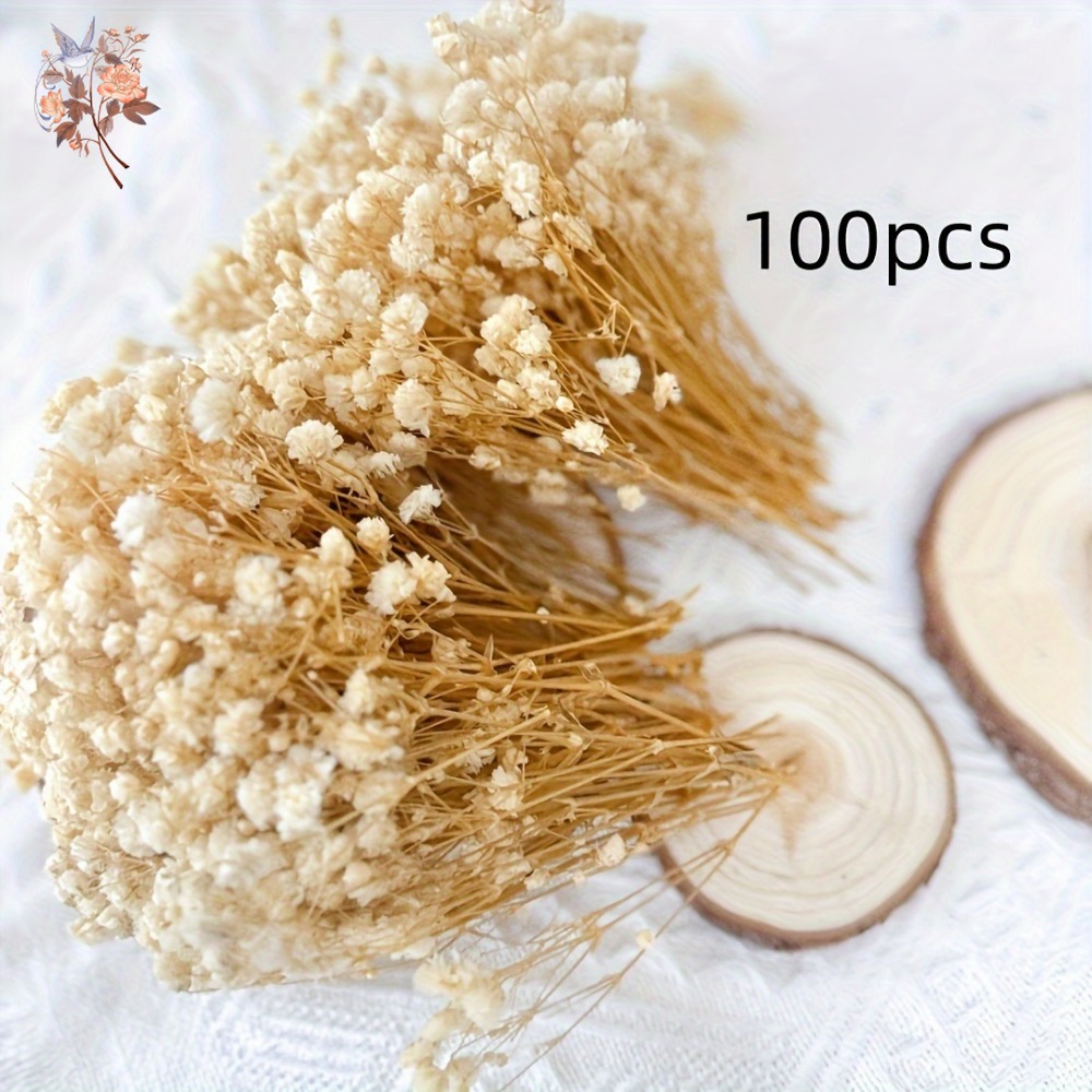 100pcs Bunga Baby's Breath Ker - Resin Craft Ideas ulasan dan harga